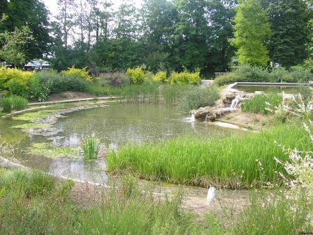 un ptit lac