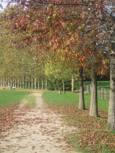 L'automne